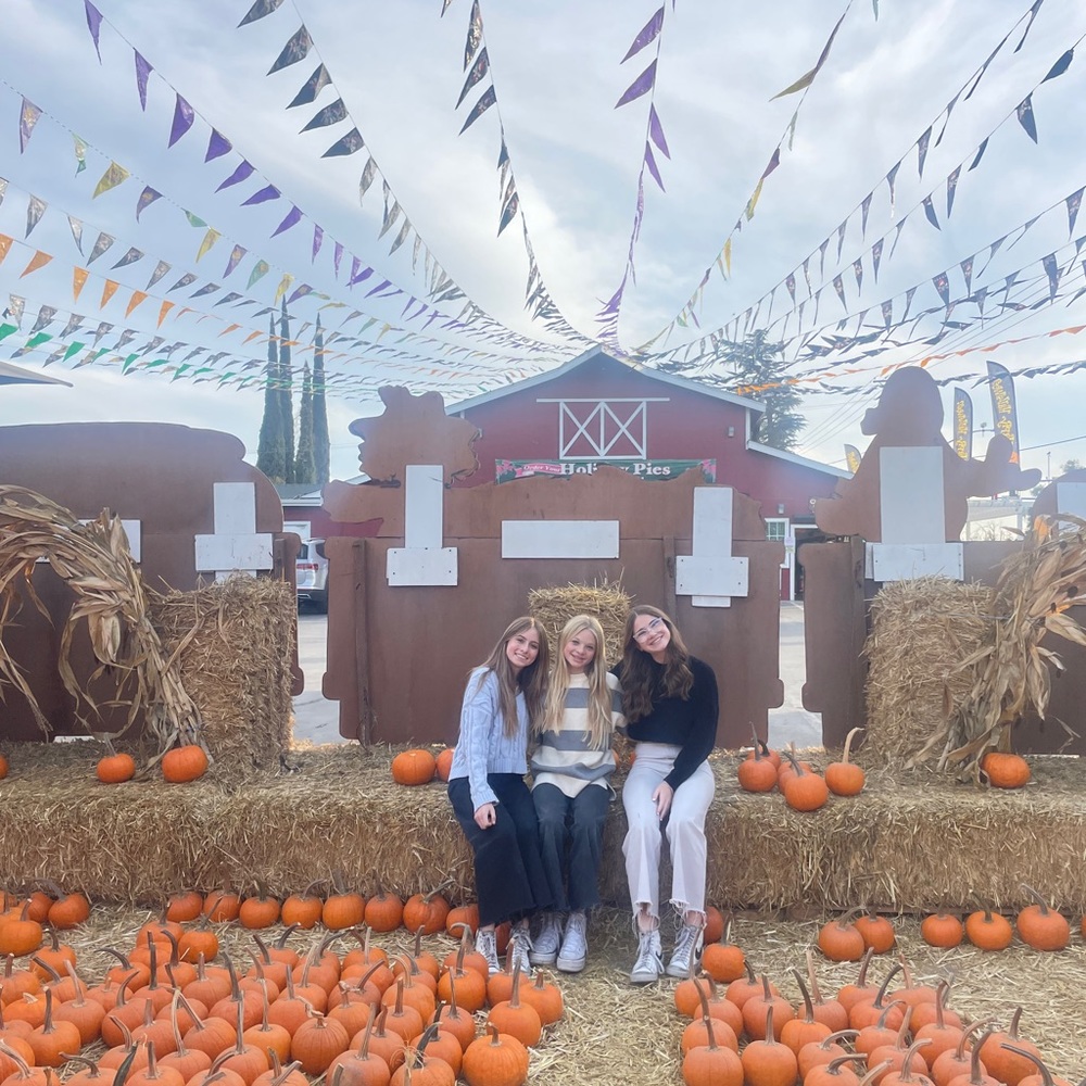 Meet your Posher, Hannah